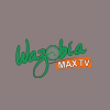 Wazobia Max