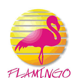 Flamingo Televisión