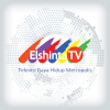 Elshinta TV