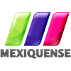 Televisión Mexiquense